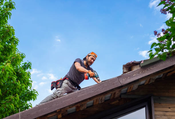 Best Asphalt Shingles Roofing  in Anza, CA